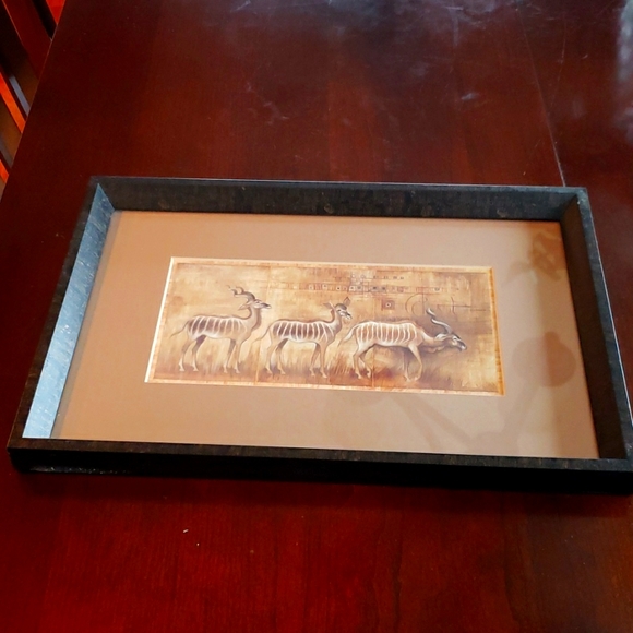 Kudu Antelope Picture - Picture 1 of 1